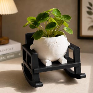 May include: A white, round, textured planter with a subtle smiley face design, containing a green Pilea peperomioides plant. The planter is seated on a small, black, wooden rocking chair frame with armrests and curved rockers at the base.