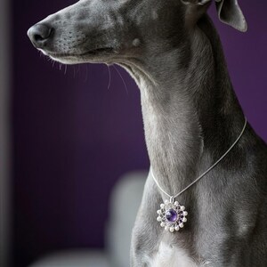 May include: A silver-toned pendant necklace featuring a central round purple gemstone surrounded by a delicate wire-work frame adorned with small white beads. The pendant hangs from a thin silver chain, resting against the neck of a grey dog.