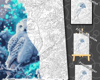 Owl of Winter Coloring by Numbers | Digital Coloring Pages, Paint by Numbers, Procreate Coloring Book, Adult Coloring Book