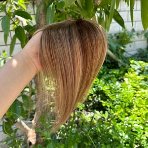 May include: A light brown hair topper with highlights, held against a backdrop of green foliage. The hairpiece appears to be made of straight, fine hair, with a natural-looking blend of colors. The hairpiece is designed to add volume and coverage.