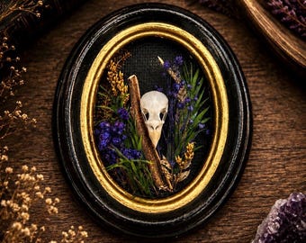 Scatola a forma di teschio di uccello fatta a mano | Decorazione botanica gotica | Gabinetto delle curiosità | Cottagecore dark | Arte naturalistica stregonesca | Pezzo unico di Alterhais