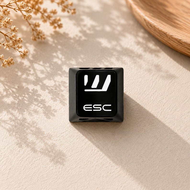 May include: A square black mechanical keyboard keycap featuring a white graphic icon of a stylized letter W and the text ESC printed in white. The keycap has a smooth, matte finish with a slightly concave top surface and beveled edges.