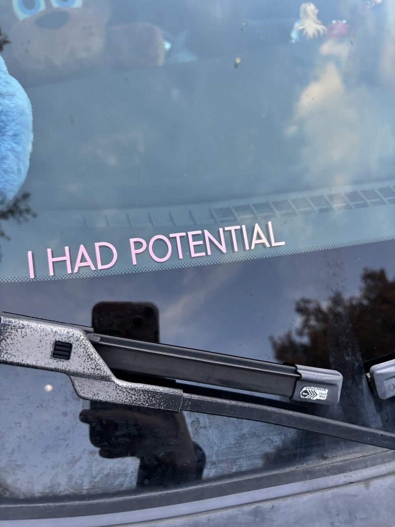 I HAD POTENTIAL Car Sticker | Project Hail Mary - Etsy