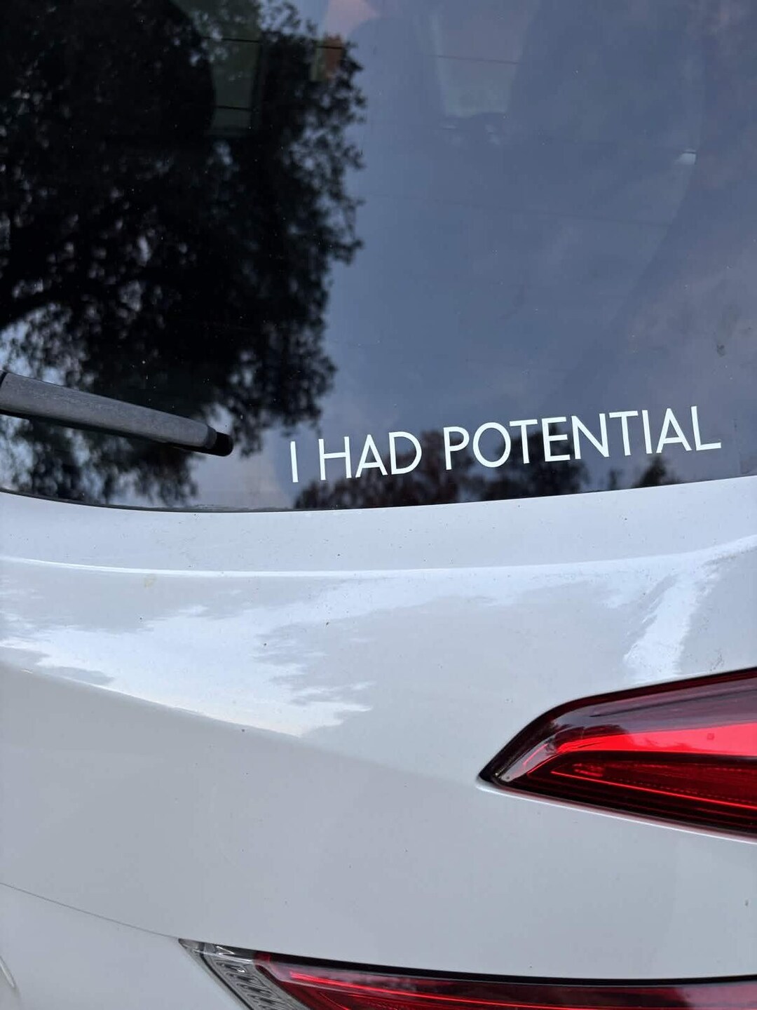 I HAD POTENTIAL Car Sticker | Project Hail Mary - Etsy