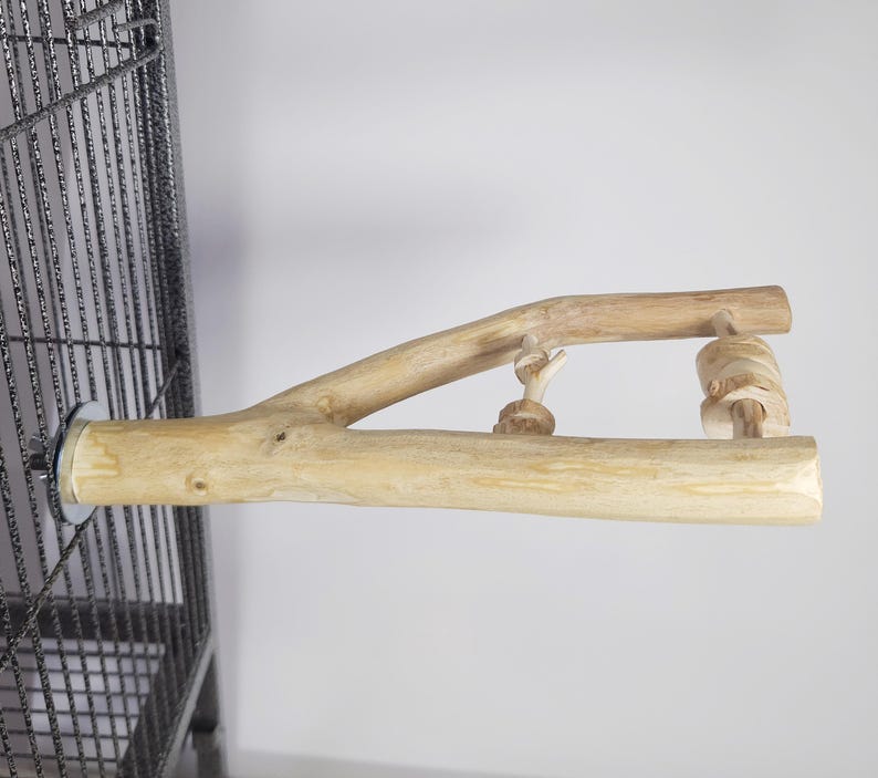 Parrot Play Perch | Cockatiel Conure Quaker | Interactive Bird ...