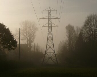 Foggy Morning