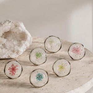 May include: Six circular cabinet knobs featuring clear resin centers with embedded dried flowers in red, green, white, pink, yellow, and blue, each encased in a thin metallic rim with small gold-toned accents throughout the clear material.