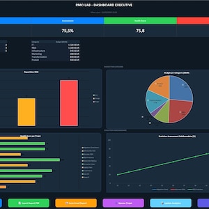 May include: A dark blue dashboard with multiple charts and graphs displaying data. The dashboard includes bar graphs, pie charts, and line graphs, along with numerical data and percentages. The text "PMO LAB - DASHBOARD EXECUTIVE" is at the top.