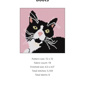 May include: Cross-stitch pattern featuring a black and white cat with yellow eyes and a pink nose, set against a pink background. The finished size is 4.0 x 4.0 inches. The text "Boots" is at the top.