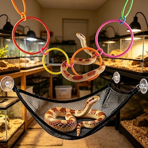 以下が含まれることがあります： 黒いメッシュハンモックで休むコーンスネーク。カラフルなリングが上に吊り下げられています。ヘビは赤、茶色、白の鱗模様です。リングはオレンジ、赤、黄色、ピンク、緑の色合いです。