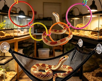 Reptile Climbing Toy Set, Snake Mesh Hammock with Suction Cups, Colorful Climbing Rings