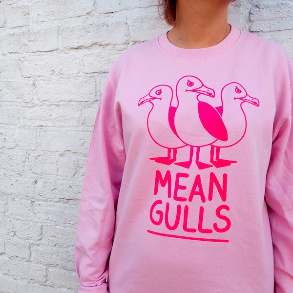 Mean Girls Seagull Sweatshirt, Pink Women’s Jumper