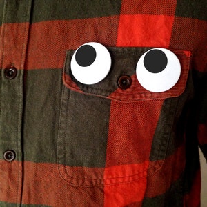 May include: A red and green plaid flannel shirt with two large white googly eyes pinned to the pocket.