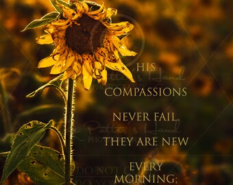 Scripture Wallpaper Etsy