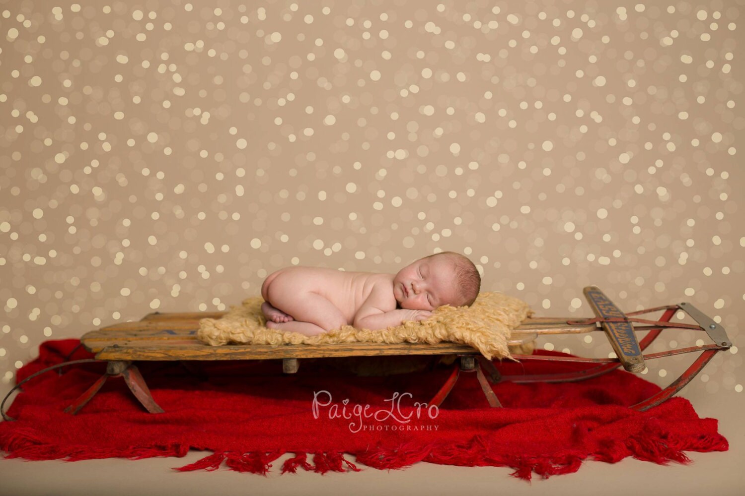 Christmas Tree Twinkle Lights Bokeh Photographer Overlay for