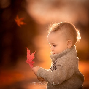 Photoshop PNG Leaf Overlays Fall Autumn Harvest Warmth Actions and Leaves Borders for Photographers and Designers