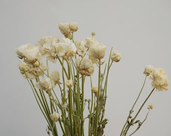 Fiori secchi, bouquet di peonie, colore bianco, articoli per la decorazione della casa, regali per le feste