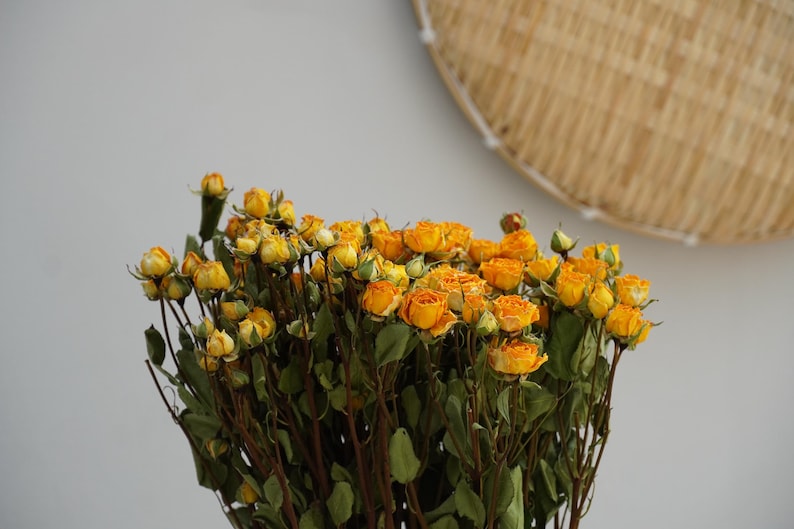 Yellow Dry Roses Natural Dried Rose Bouquet,yellow(as Shown in the Figure), Party Home ...