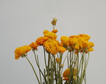 Dried flowers, peony bouquet, yellow, home decoration items, holiday gifts