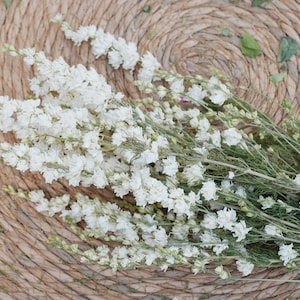 Könnte beinhalten: Ein Arrangement aus weißen Delphiniumblüten mit grünen Stielen und Blättern, angeordnet auf einer gewebten, hellbraunen Oberfläche. Die Blüten sind in voller Blüte und zeigen ihre zarten Blütenblätter.
