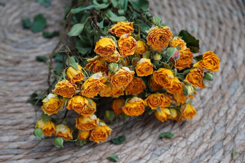 Yellow Dry Roses Natural Dried Rose Bouquet,yellow(as Shown in the Figure), Party Home ...