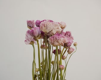 Dried flowers, peony bouquet, pink, home decoration items, holiday gifts