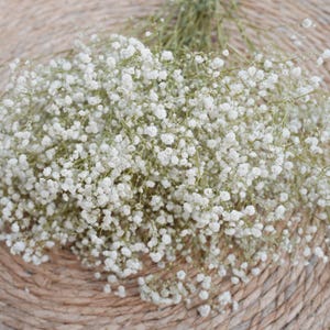 Puede incluir: Un ramo de flores blancas de paniculata con pequeñas y delicadas flores. Las flores están dispuestas sobre una superficie circular tejida, creando un contraste suave y texturizado. La paleta de colores es neutra, con tonos blancos y beige.