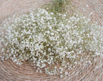 Preserved Baby's Breath Bouquet, 16 Inch Natural Wedding Centerpiece Arrangement