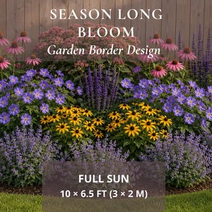 May include: A garden border design featuring pink coneflowers, purple geraniums, yellow black-eyed Susans, and lavender catmint. Text reads: SEASON LONG BLOOM Garden Border Design, FULL SUN, 10 x 6.5 FT (3 x 2 M). The plants are arranged in layers.