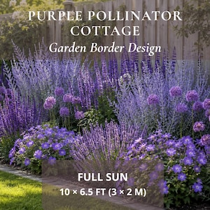 May include: A garden border design titled PURPLE POLLINATOR COTTAGE featuring a variety of purple and blue flowers, including tall spikes and round blooms. The text indicates FULL SUN and dimensions of 10 x 6.5 FT for this floral arrangement.