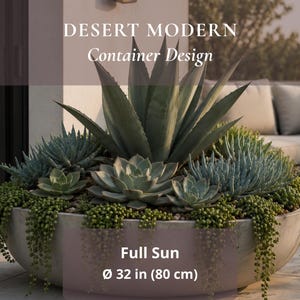 May include: A large, round, light grey concrete planter filled with a variety of succulents, including a central agave, smaller rosettes, and trailing string of pearls. Text reads: DESERT MODERN Container Design, Full Sun, Ø 32 in (80 cm).