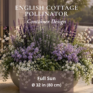 Może przedstawiać: Duża, okrągła donica w jasnym kolorze wypełniona różnorodnymi fioletowymi, lawendowymi i białymi kwiatami. Tekst "ENGLISH COTTAGE POLLINATOR Container Design" oraz "Full Sun Ø 80 cm" jest nałożony na obraz kompozycji kwiatowej.