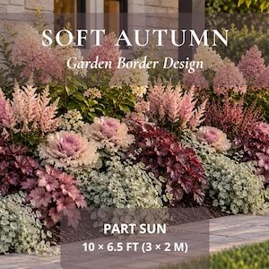 May include: A garden border design titled SOFT AUTUMN featuring pink astilbe, ornamental cabbage, and silver foliage. The text indicates PART SUN and dimensions of 10 x 6.5 FT. The arrangement displays a mix of textures and autumn-toned plants.