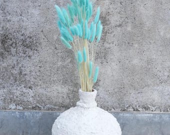 Getrocknete Bunny Tails Pampasgras, Set mit zwei dekorativen Trockenblumen, Wohnkultur, Boho-Hochzeit, Geschenkidee