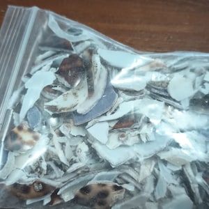 May include: A transparent plastic bag containing a collection of small, irregularly shaped fragments. The fragments are mainly white, with some showing brown and tan speckled patterns. Some fragments have a light blue tint.