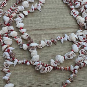 Aje Shaluga shells and coral eleke