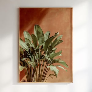 Op de afbeelding: Een rechthoekige wandkunstprint met een levendige groene paradijsvogelplant met grote, langwerpige bladeren. De plant is geplaatst tegen een effen, warme terracotta oranje achtergrond die een contrastrijk visueel effect creëert.