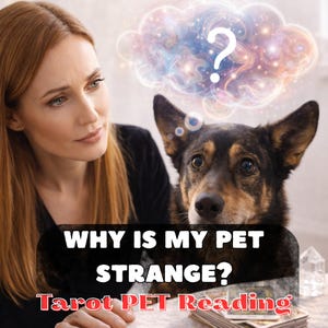 Why Is My Pet Acting Strange Psychic Reading, Behavior Insight