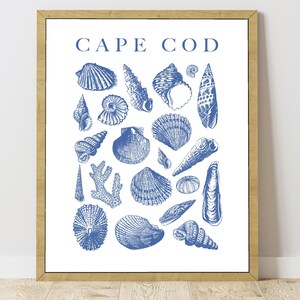 Könnte beinhalten: Ein gerahmter Kunstdruck mit dem Text CAPE COD in blauen Großbuchstaben über einer Sammlung verschiedener blauer, tuscheartiger Illustrationen von Muscheln und Korallen auf weißem Hintergrund in einem hellen Holzrahmen.