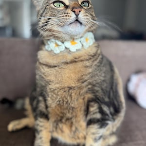 Hand-Knitted Cat Holiday Scarf – Festive & Cozy Pet Accessory(DM for more styles)