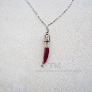 Może przedstawiać: Srebrny naszyjnik z wisiorkiem w kształcie rogu. Wisiorek to przezroczysta szklana fiolka wypełniona ciemnoczerwonym płynem. Łańcuszek jest delikatny i wisi na neutralnym tle. Wisiorek ma około 3 cm długości.