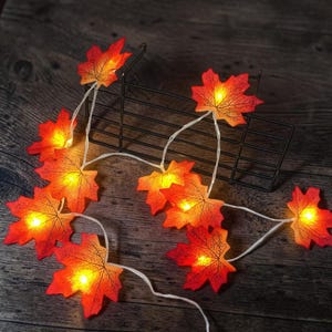 Könnte beinhalten: Eine LED-Lichterkette mit künstlichen Ahornblättern in Orange-, Rot- und Gelbtönen. Jedes Blatt wird von innen durch ein kleines warmweißes Licht beleuchtet, das mit einem dünnen weißen Draht verbunden ist und ein leuchtendes Herbstdisplay bildet.