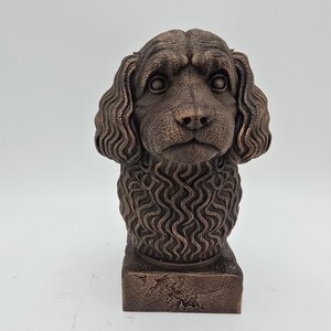 Cavapoo Bust image 2