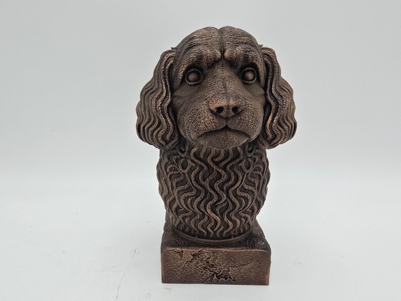 Cavapoo Bust image 2