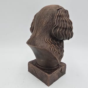 Cavapoo Bust image 5