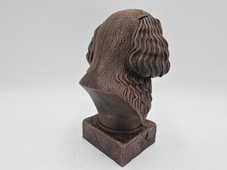 Cavapoo Bust image 5