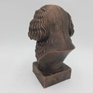 Cavapoo Bust image 6