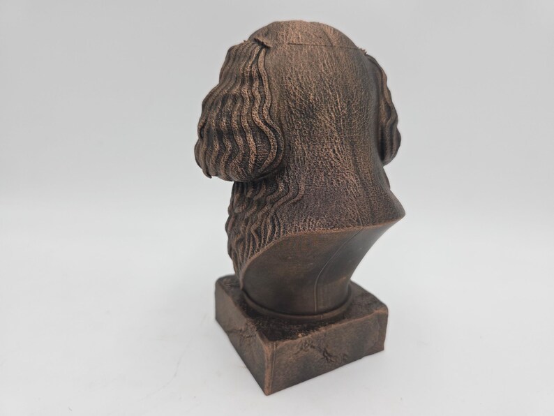 Cavapoo Bust image 6