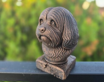 Lhasa Apso Bust