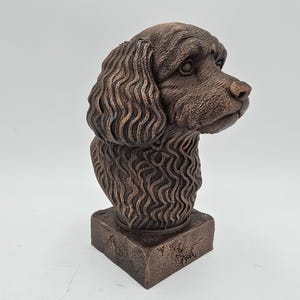 Cavapoo Bust image 3
